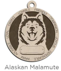 Alaskan Malamute #2