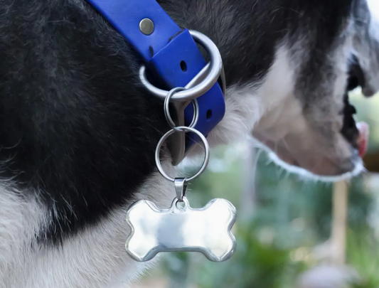 Dog Bone Pet Tag Sm.