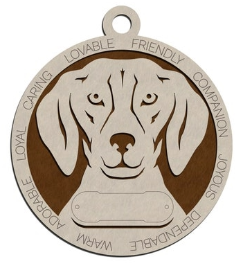 American Foxhound #4