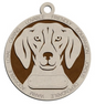 American Foxhound #4