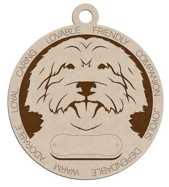 Australian Labradoodle - #86