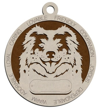 Australian Shepherd #6