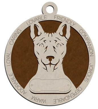Basenji #89