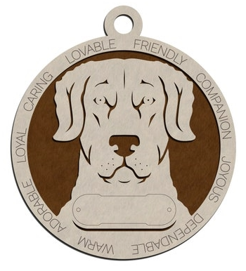 Chesapeake Bay Retriever #19