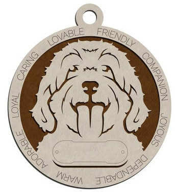 Cockapoo #66