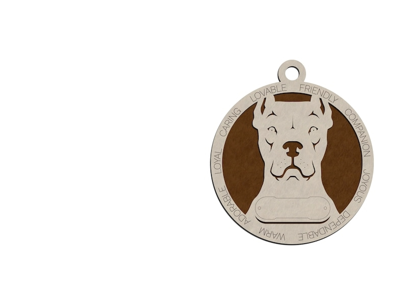 Dogo Argentino #72