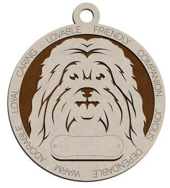 Havanese #32