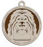 Havanese #32