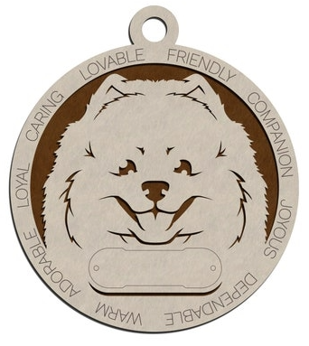 Pomeranian #47