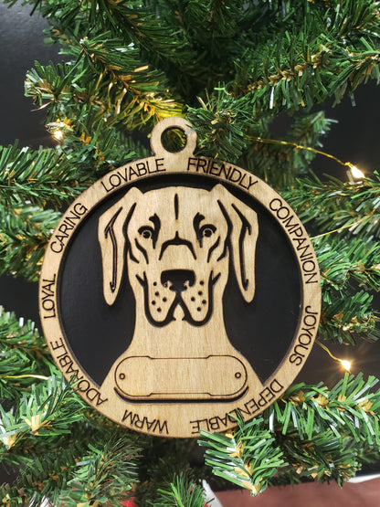 Beagle #8
